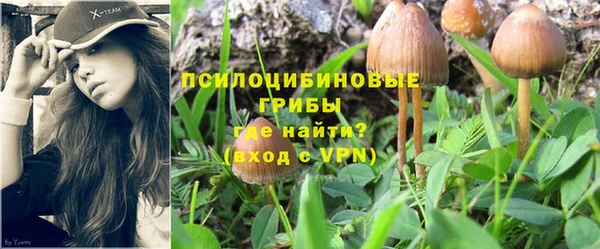 гидропоника Балахна