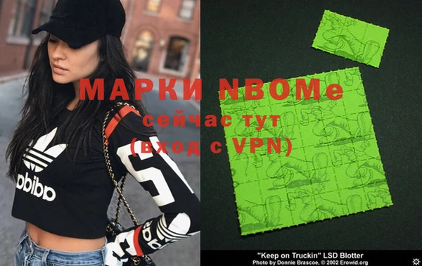 мдпв Каменка