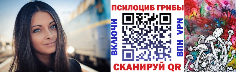 Псилоцибиновые грибы Psilocybine cubensis  гидра ТОР  Вичуга  где купить наркотик 